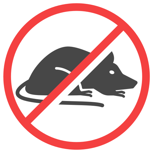 rodent