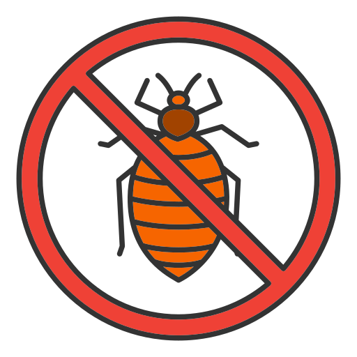 insect (2)